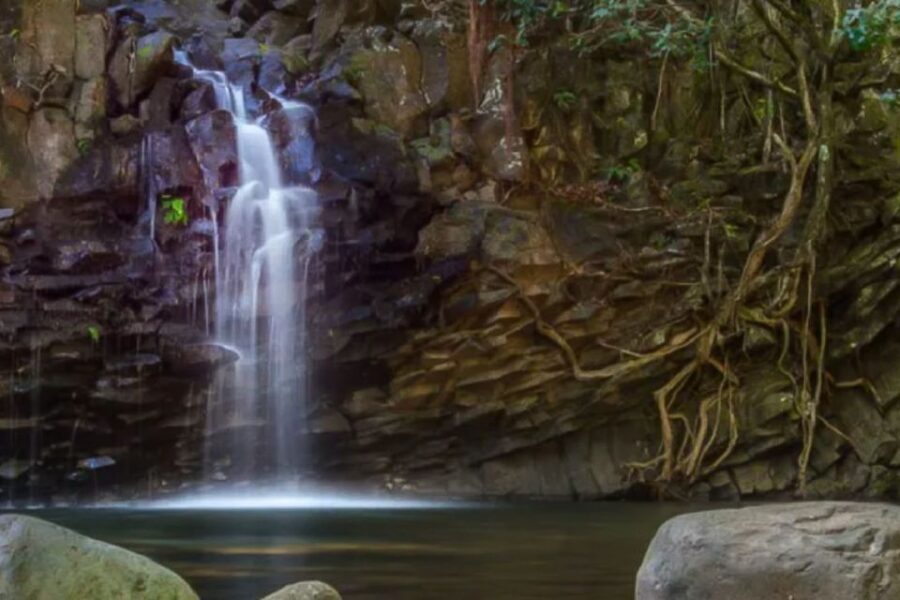 Kahului: Guided Rainforest and Waterfall Walk - How Hard Is It, Really? Family-Friendly, but Not for Everyone