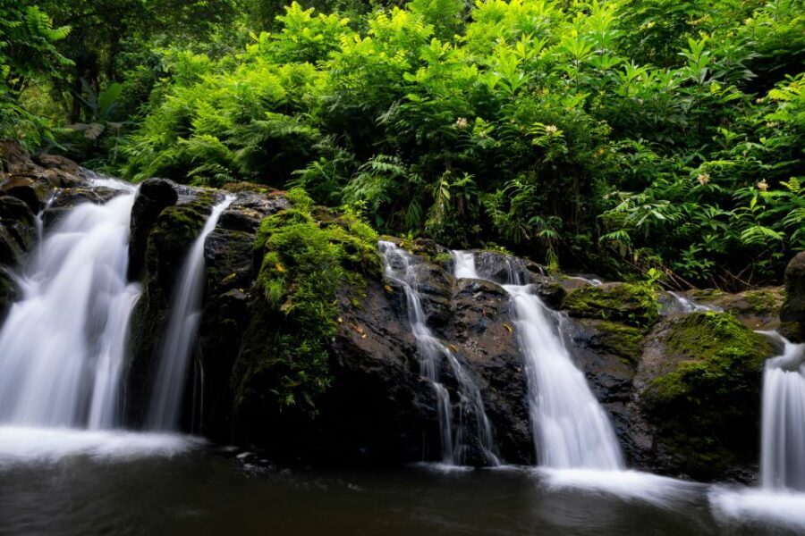 Kahului: Guided Rainforest and Waterfall Walk - Price and Value vs. DIY Waterfall Plans