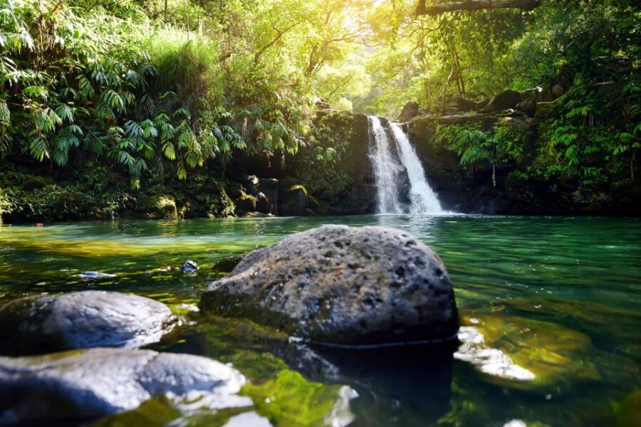 Kahului: Guided Rainforest and Waterfall Walk - The 3-Hour Flow: Ride Talk, Rainforest Steps, Pool Time