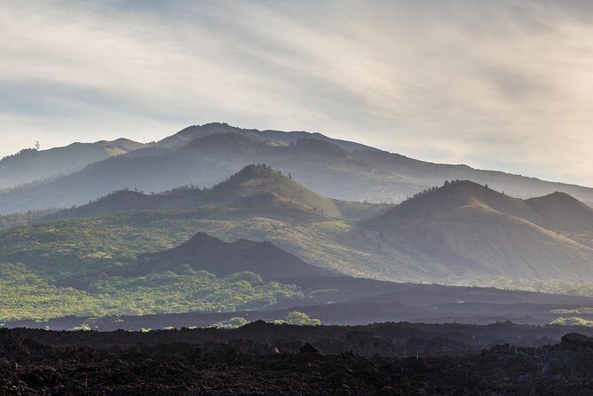 Kahului Shore Excursion: Private Tropics of Maui & Rainforest - Why this Kahului private tour works so well from the port