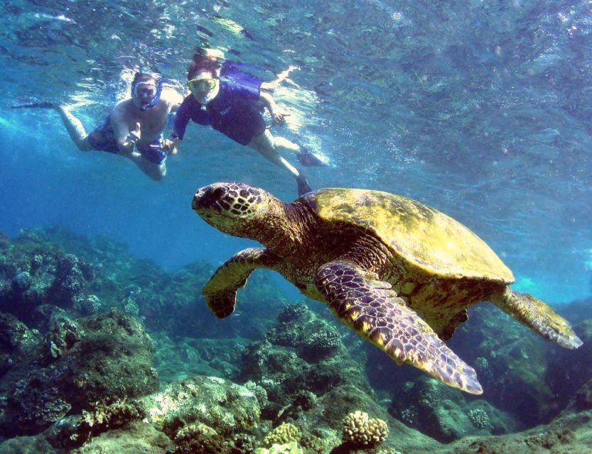 Kayak and Snorkel West Maui at Olowalu - Should you book Kayak and Snorkel West Maui at Olowalu?