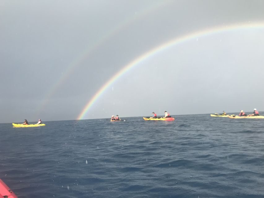 Kayak and Snorkel West Maui at Olowalu - Snorkeling at the turtle cleaning station (and why you’ll care)