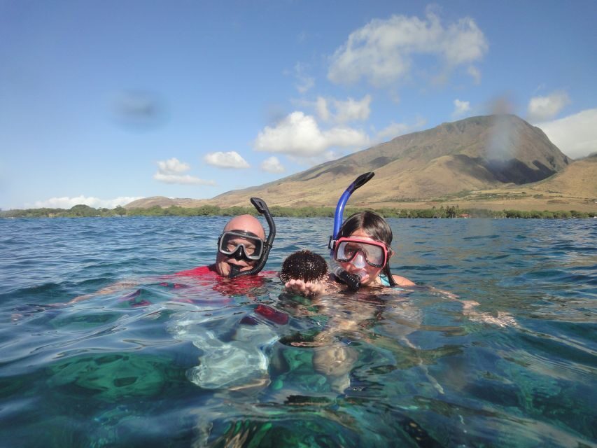 Kayak and Snorkel West Maui at Olowalu - Who this Olowalu kayak-and-snorkel tour is perfect for
