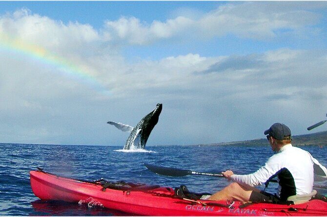 Kayak, Whale Watch and Snorkel - Launch From Olowalu Beach: West Maui Views From a Kayak