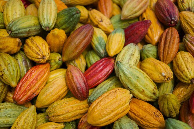 Lahaina: Maui Ku'ia Estate Guided Cacao Farm Tour and Tasting - Drive to the West Maui Cacao Estate: The View and the Pace