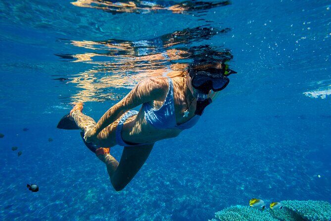 Lāna'i Coast Snorkel and Sail - Snorkel Time Done Right: Gear, Floatation, and Real-World Visibility