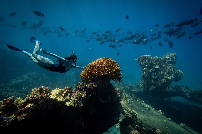 Lāna'i Coast Snorkel and Sail - Who This Tour Fits Best (and Who Should Rethink It)