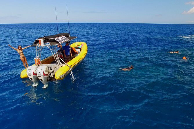 Lanai Deluxe Dolphin Adventure & 3 Snorkel Sites - Getting to Lanai: a small raft boat and a sharp 8am start