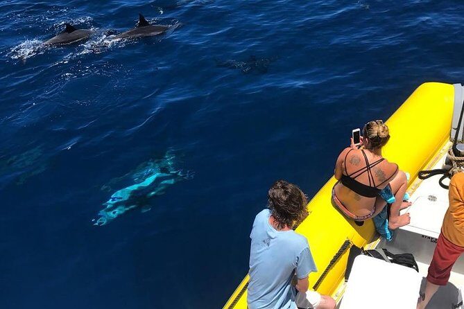 Lanai Deluxe Dolphin Adventure & 3 Snorkel Sites - Snorkel gear and flotation: what’s included and what to bring