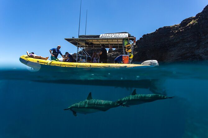 Lanai Deluxe Dolphin Adventure & 3 Snorkel Sites - Price and value: why $200 can feel fair here