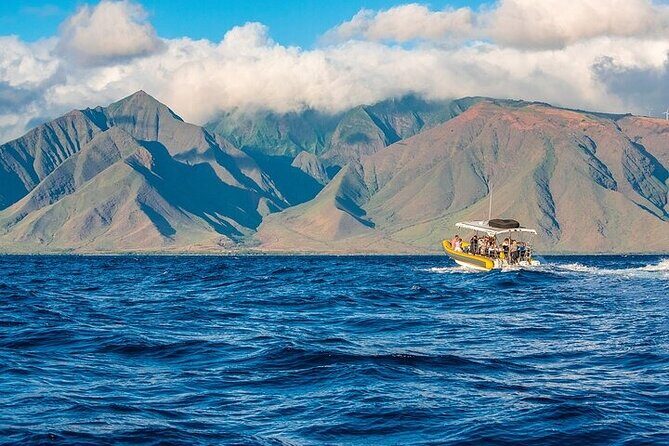 Lanai Deluxe Dolphin Adventure & 3 Snorkel Sites - What each water break feels like in real time