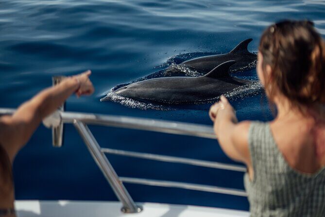 Lana'i Snorkel And Dolphin Quest with Maui Turtle Spot Tour - Morning Start at Mala Boat Ramp (8:00 AM)
