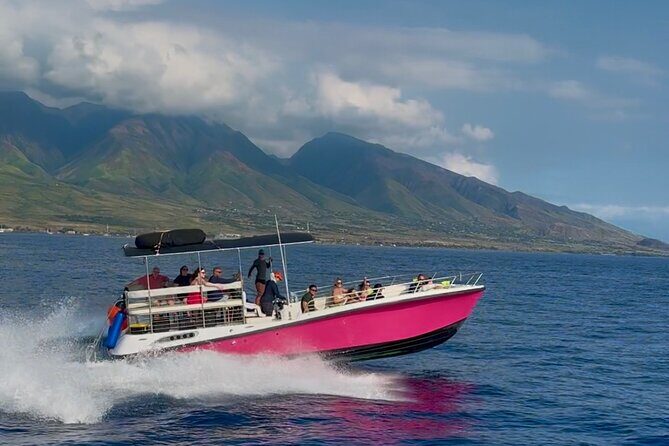 Lana'i Snorkel And Dolphin Quest with Maui Turtle Spot Tour - Swimming With Sea Turtles: What You Should Do (and Why)