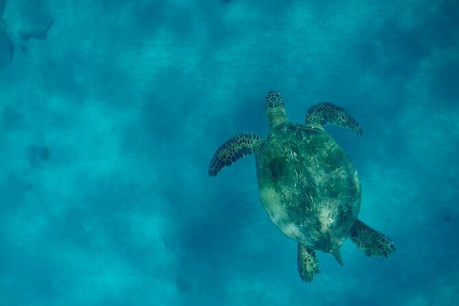 Lana'i Snorkel And Dolphin Quest with Maui Turtle Spot Tour - Second Snorkel Stop Off West Maui: A Chance for Calmer Water