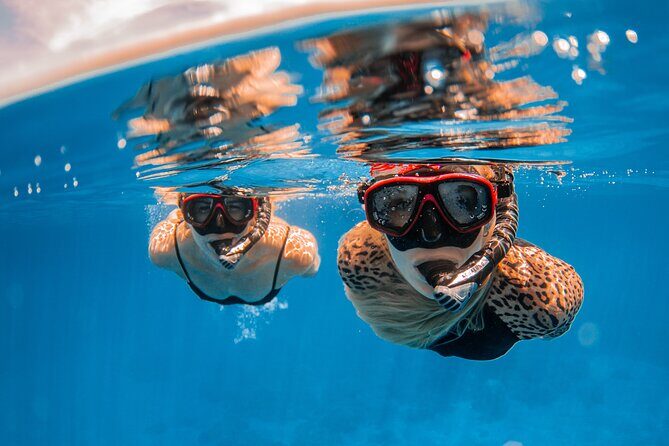 Lana'i Snorkel And Dolphin Quest with Maui Turtle Spot Tour - Snacks and Gear: Included, Convenient, and Actually Tasty