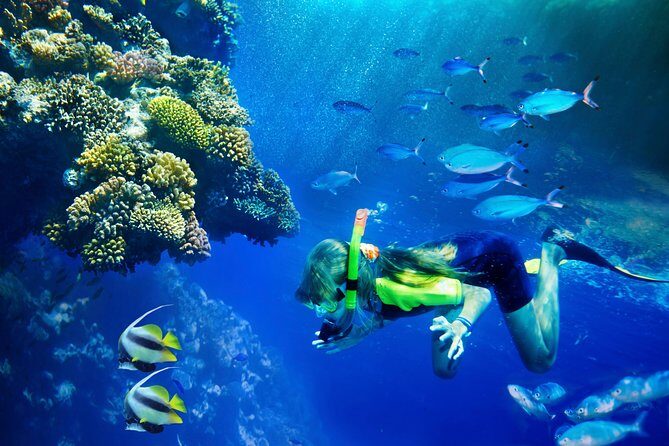 Lanai Snorkel and Dolphin Watch from Maalaea - Key points before you go