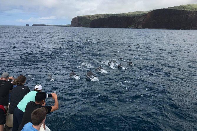 Lanai Snorkel and Dolphin Watch from Maalaea - Maalaea to Lanai on an eco-catamaran that actually feels comfortable