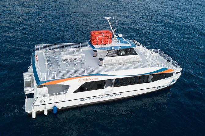 Lanai Snorkel and Dolphin Watch from Maalaea - Families and first-time snorkelers: instruction, kids program, and a calm pace