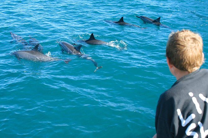 Lanai Snorkel and Dolphin Watch from Maalaea - Lanai reef snorkeling: 90 minutes, one stop, and real fish-spotting help