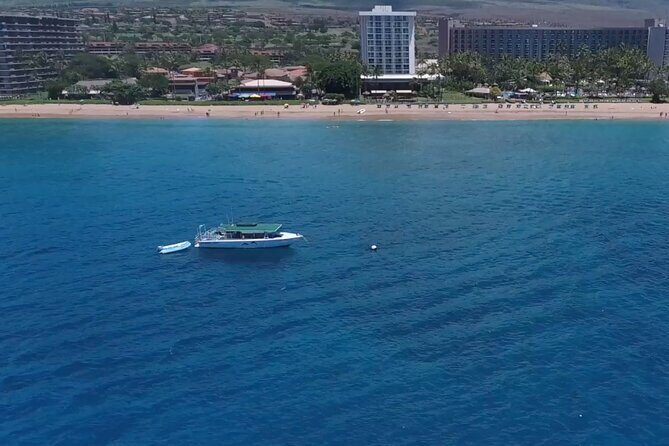 Lanai Snorkeling Half Day with Sea Scooter - From Kaanapali to Lanai: What Your Half Day Actually Feels Like