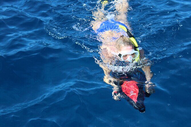 Lanai Snorkeling Half Day with Sea Scooter - Whale Season in Lanai Country: What Changes Between Dec 15 and May 15