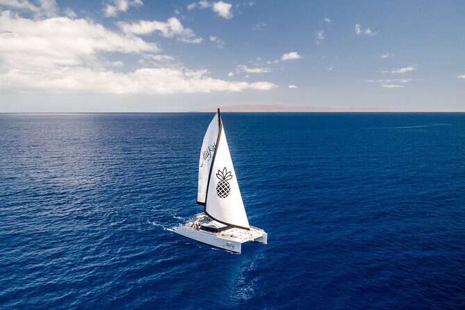 Luxury Catamaran Royal Sunset Dinner Sail (Adults-Only) - Key things that make this Maui sunset dinner cruise special