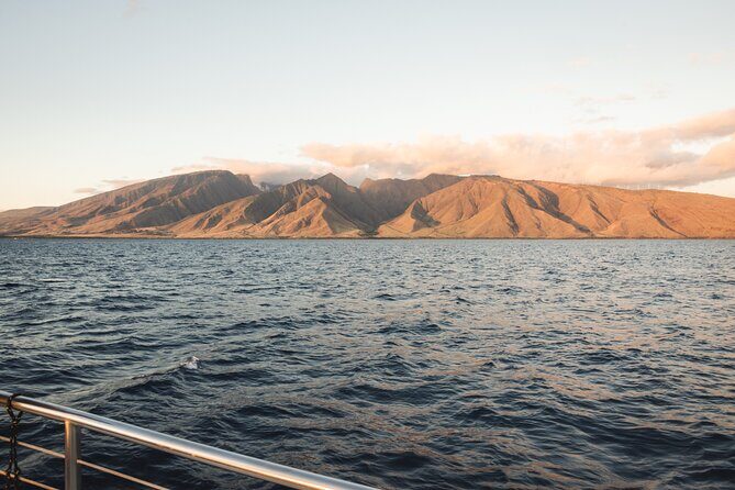 Luxury Catamaran Royal Sunset Dinner Sail (Adults-Only) - Maalaea Harbor departure: what to know before you board