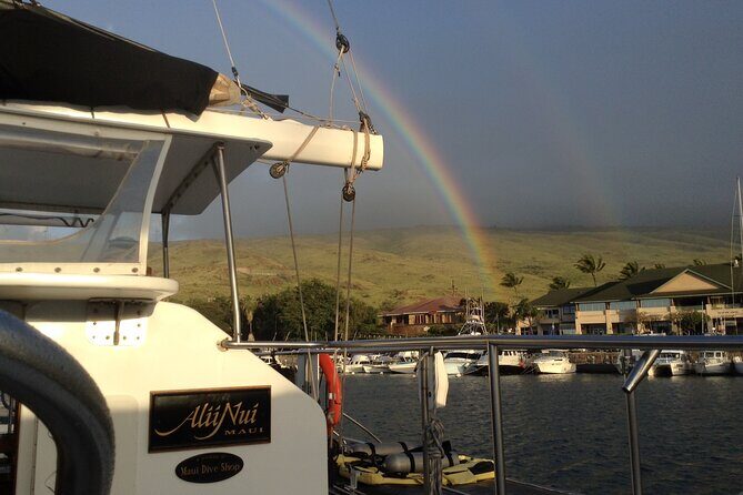 Luxury Catamaran Whale Watch - How the crew helps you see whales: searching multiple areas and keeping it legal
