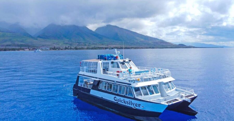 Ma'alaea Harbor: Whale Watching Tour Aboard Power Catamaran - Key things that make this Maalaea whale watch worth your time