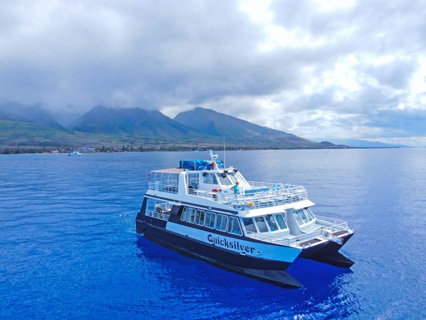 Ma'alaea Harbor: Whale Watching Tour Aboard Power Catamaran - Maalaea Harbor and humpbacks: why this route works
