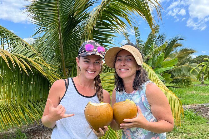 Macnut Tour, Picnic lunch and Maui Bees - Key highlights at a glance