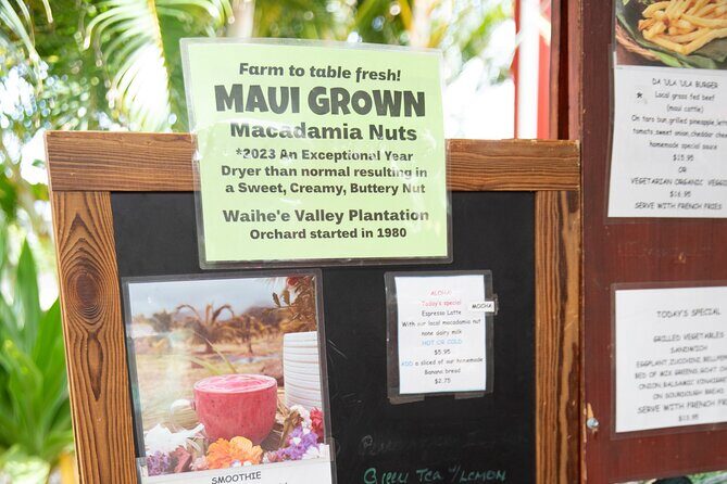 Macnut Tour, Picnic lunch and Maui Bees - Logistics that make the tour easy to fit
