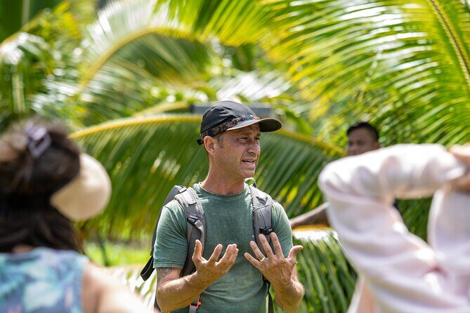 Macnut Tour, Picnic lunch and Maui Bees - The walking tour: trees, samples, and real farm rhythms