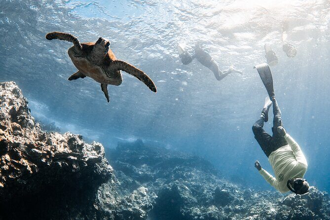 Mala Wharf Lahaina Jet Scooter Snorkeling Small Group with GoPro - Mala Historic Wharf stop: the main event