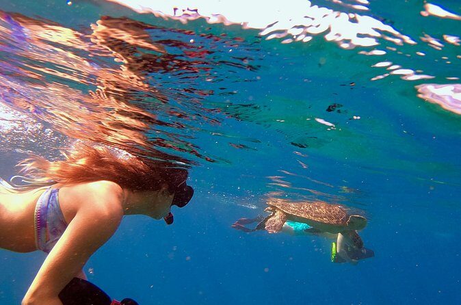 Mala Wharf Lahaina Jet Scooter Snorkeling Small Group with GoPro - The real-world value of the $149 price
