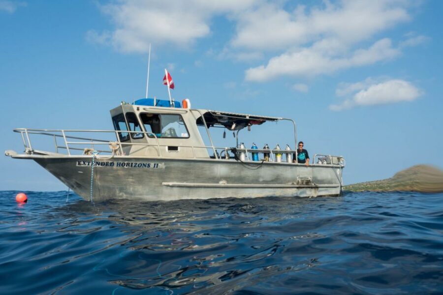 Maui: Beginner Discovery Scuba Dive Excursion from Lahaina - The marine life and reef views you should expect off Lahaina