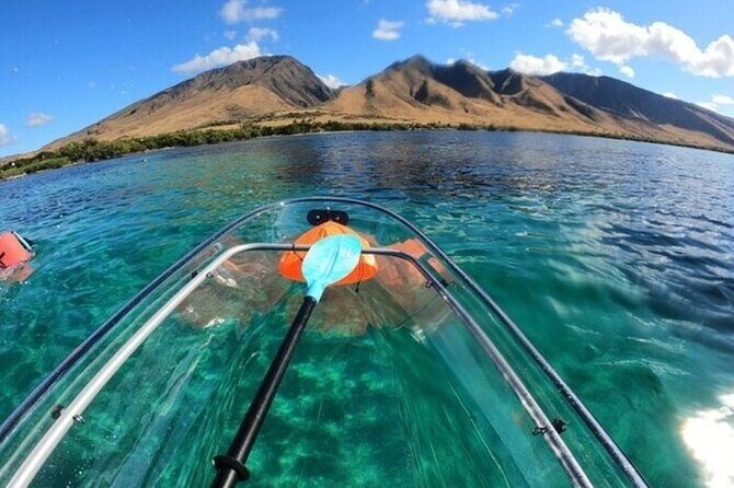 Maui Clear Kayak and Snorkel Tour: Swim with turtles (Olowalu) - What you actually get for $130 (and what you don’t)