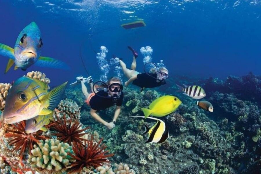 Maui: Deluxe Molokini Snorkel with Breakfast & Lunch - The Alii Kai Catamaran: comfort that makes snorkeling easier