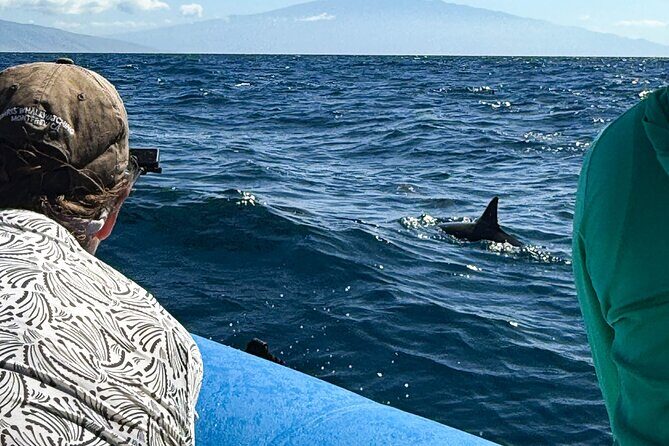 Maui Eco-Raft: 2 Hour Dolphin Watch Sightsee Tour (Semi-Private) - What this eco-raft dolphin watch feels like on West Maui