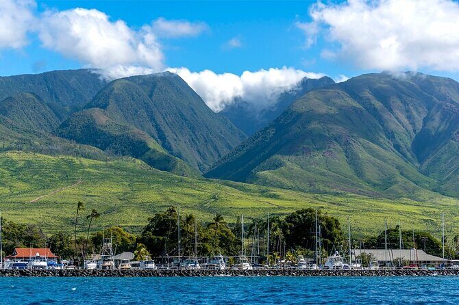 Maui Eco-Raft: 2 Hour Dolphin Watch Sightsee Tour (Semi-Private) - The value: does $96.52 for 2 hours make sense in Maui?