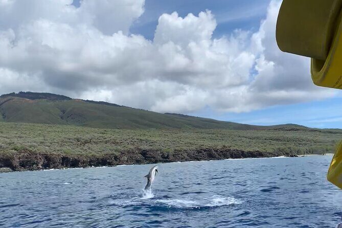 Maui Eco-Raft: 2 Hour Dolphin Watch Sightsee Tour (Semi-Private) - When to book and what weather can change