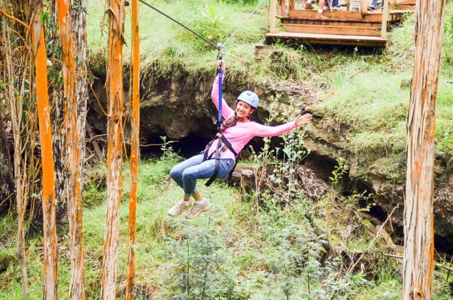 Maui: Haleakala 6-Line Zipline Adventure - Who This Tour Suits (and Who Should Think Twice)