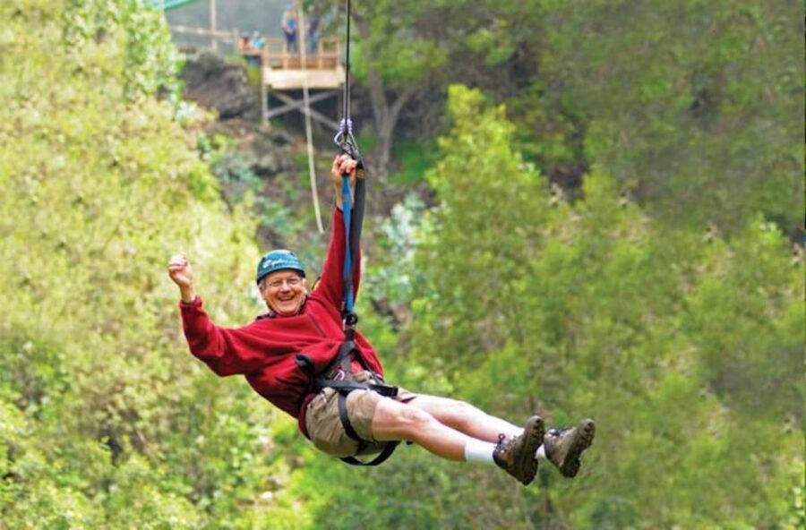 Maui: Haleakala 6-Line Zipline Adventure - The Setting: Forest Air, Elevation Hikes, and Real Conditions