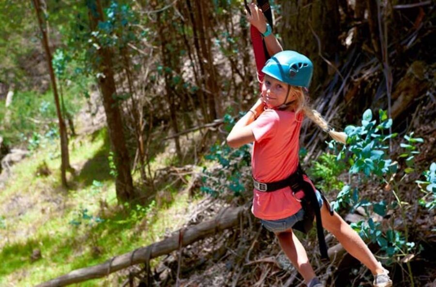 Maui: Haleakala 6-Line Zipline Adventure - Safety and Gear Rules That Are Worth Taking Seriously