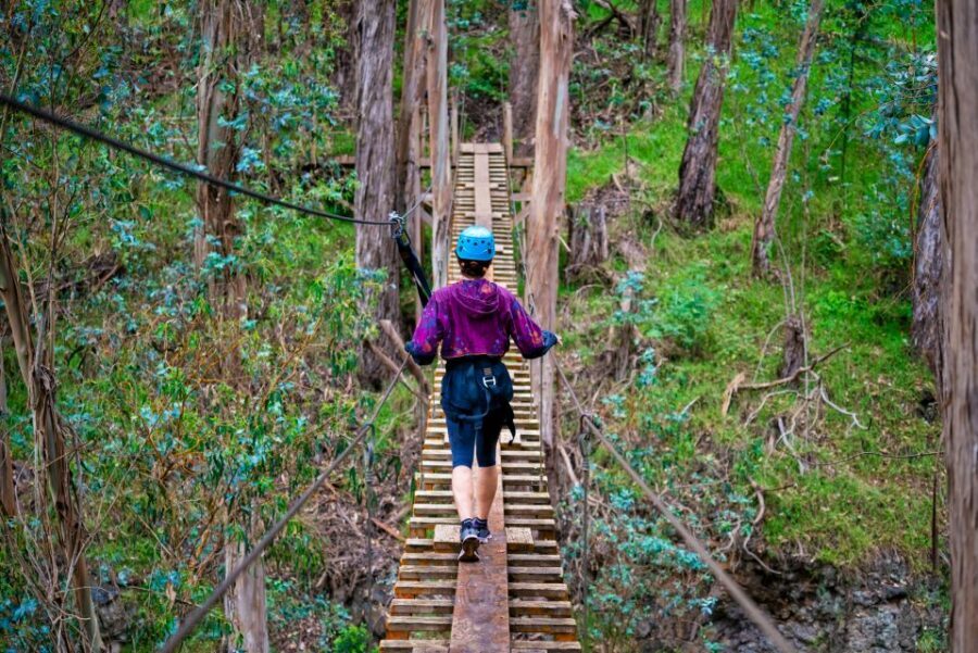 Maui: Haleakala 6-Line Zipline Adventure - Conservation Funding: What the 1% For The Planet Part Means