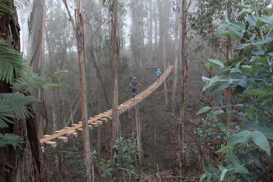 Maui: Haleakala 6-Line Zipline Adventure - The 6-Line Course: What’s Included and What You’ll Do