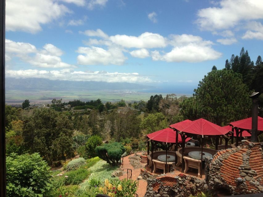 Maui: Haleakala National Park Sunrise Tour - The Guide Experience: History, Culture, Flora, and Real Talk