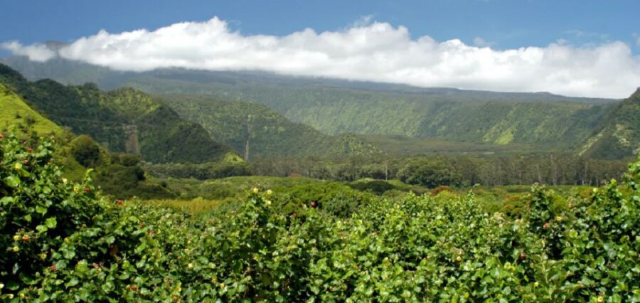 Maui: Hana Hiking Tour with Lunch - Seven Sacred Pools: Waterfalls You Can See, Then Hear