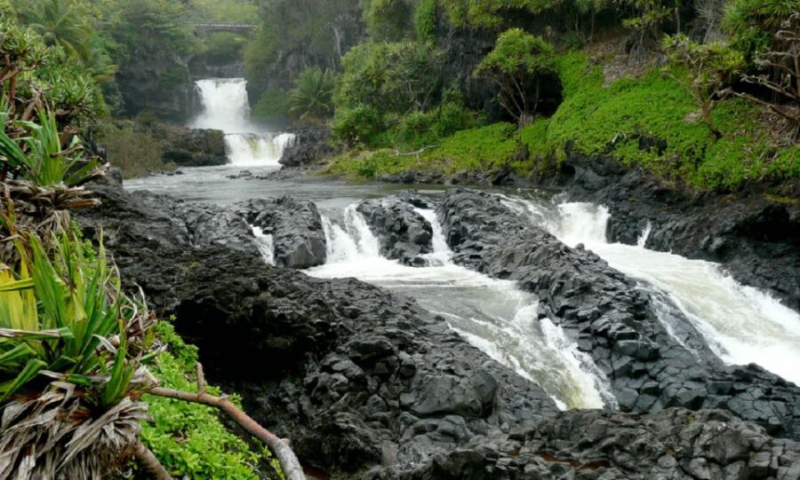 Maui: Hana Hiking Tour with Lunch - Rainforest Hike in Maui’s National Park: 4.5 Miles With Purpose