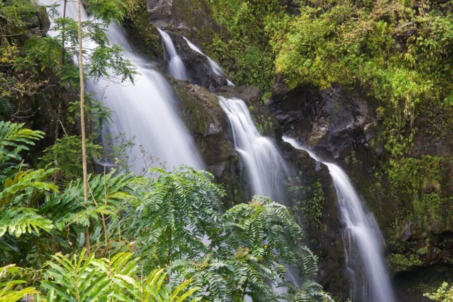 Maui: Heavenly Hana Full-Day Excursion from Kahului - Kaumahina State Wayside Park and Keanae Lookout: Coast Views and Taro Fields